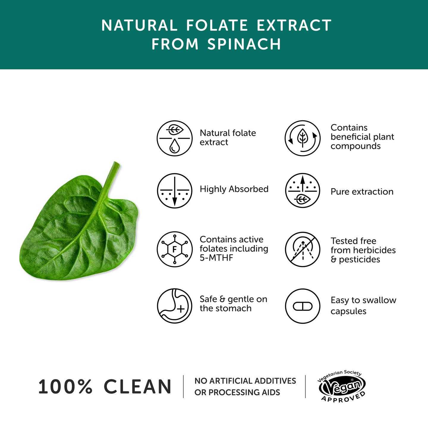 Folate – Natural Alternative To Folic Acid – Vitamins - 30 Capsules - Image 3